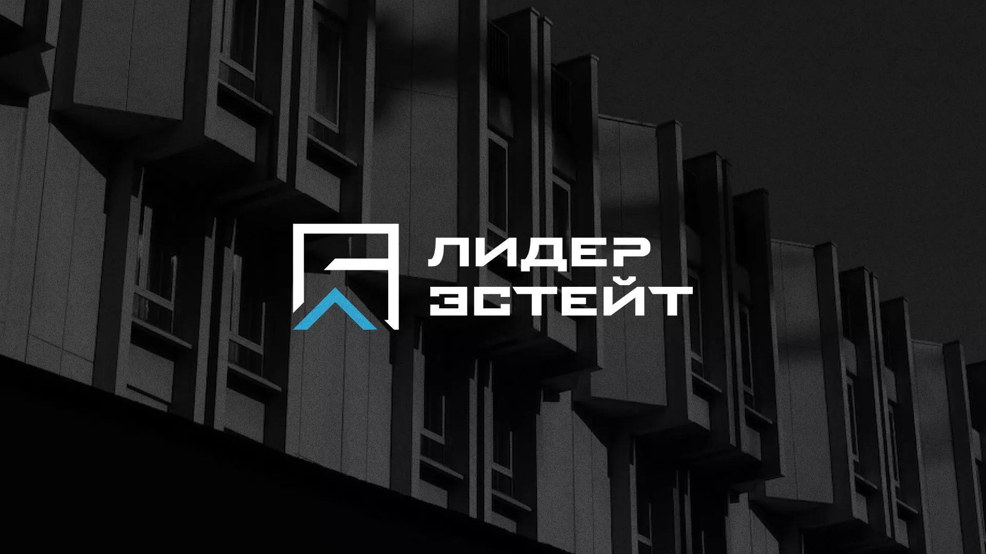 Разработка логотипа агентства недвижимости «Лидер Эстейт» в Пролетарске